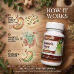 Hurrywell Gastric Care Capsules infographic showing how the Ayurvedic formula works for quick absorption, targeted relief from gas and acidity, and restoring digestive comfort naturally.
